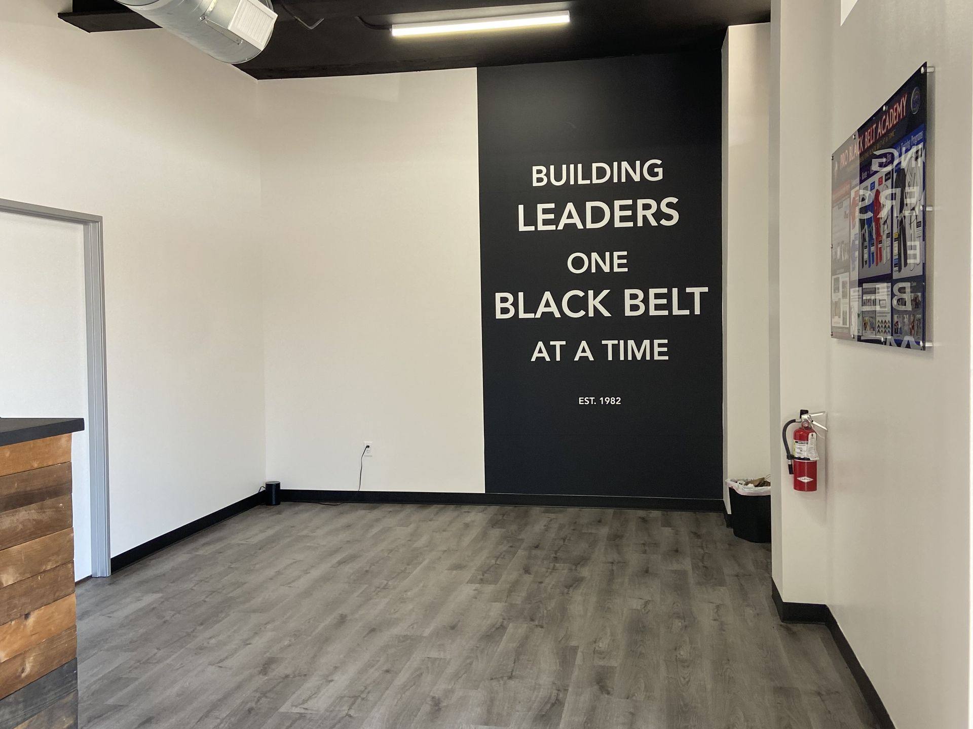 The wall mural at Professional Black Belt Academy in Princeton, TX